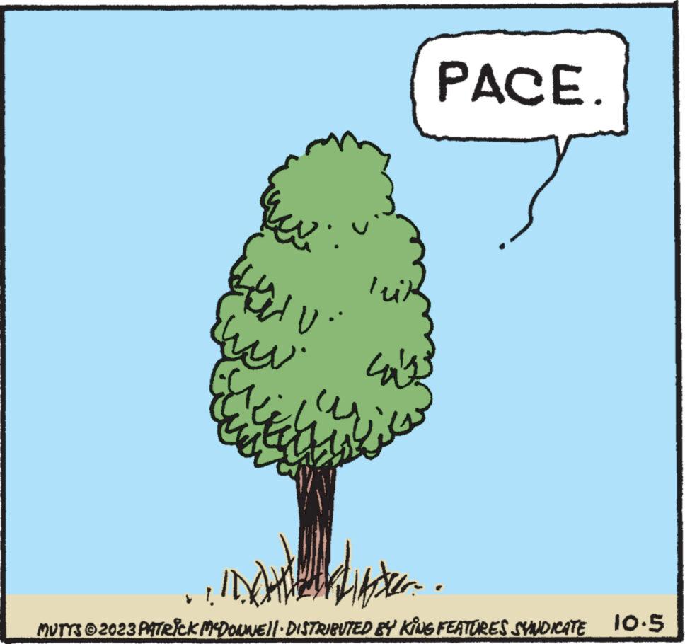 Vegetable OCR: GLU HU kuw Ew Ele Ey luk PACE. whiten MUTTS © 2023 PATRICK MCDONNE||· DISTRIBUTED BY KING FEATURES SYNDICATE 10.5 GLU HU kuw Ew Ele Ey luk PACE . whiten MUTTS © 2023 PATRICK MCDONNE || · DISTRIBUTED BY KING FEATURES SYNDICATE 10.5