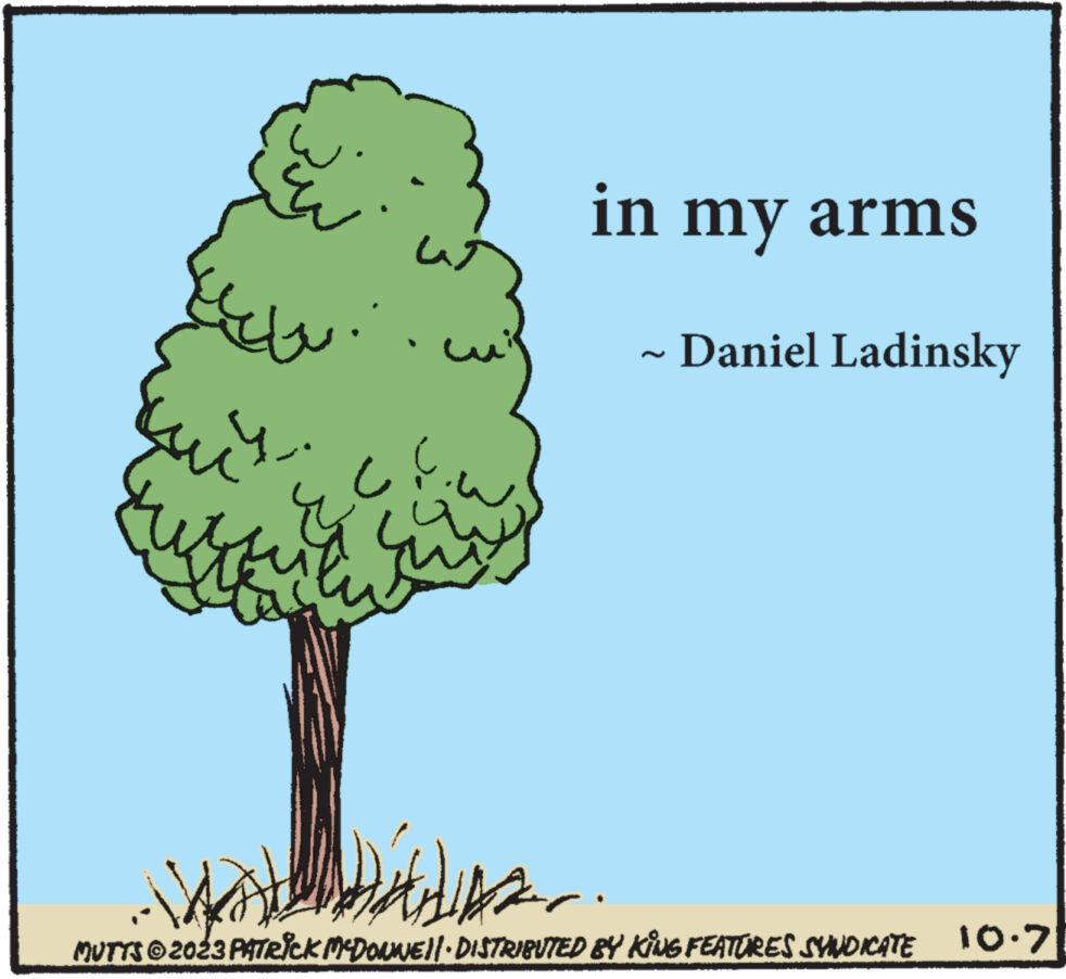 Landscape OCR: ??? ??? ?? ? in my arms Daniel Ladinsky Waldes . MUTTS ©2023 PATRICK MCDONWE||· DISTRIBUTED BY KING FEATURES SYNDICATE 10.7 ??? ??? ?? ? in my arms Daniel Ladinsky Waldes . MUTTS © 2023 PATRICK MCDONWE || · DISTRIBUTED BY KING FEATURES SYNDICATE 10.7