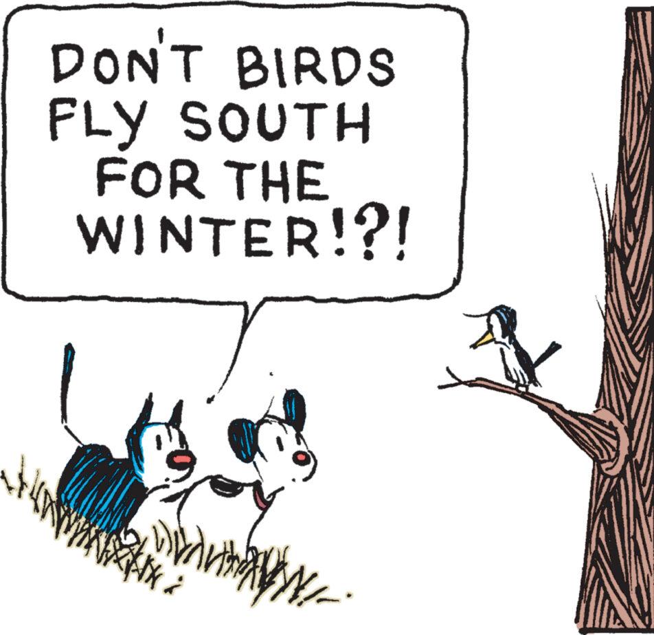 Bird OCR: DON'T BIRDS FLY SOUTH FOR THE WINTER!?! XXX www. DON'T BIRDS FLY SOUTH FOR THE WINTER ! ? ! XXX www .