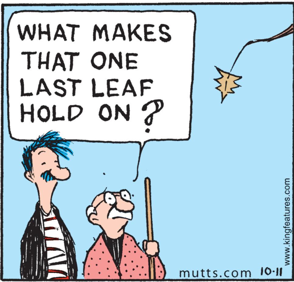 Art OCR: WHAT MAKES THAT ONE LAST LEAF HOLD ON ? MAN ? mutts.com 10.11 www.kingfeatures.com WHAT MAKES THAT ONE LAST LEAF HOLD ON ? MAN ? mutts.com 10.11 www.kingfeatures.com
