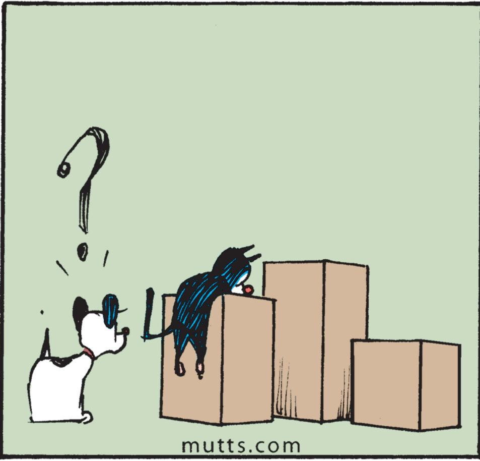 Chair OCR: mutts.com mutts.com