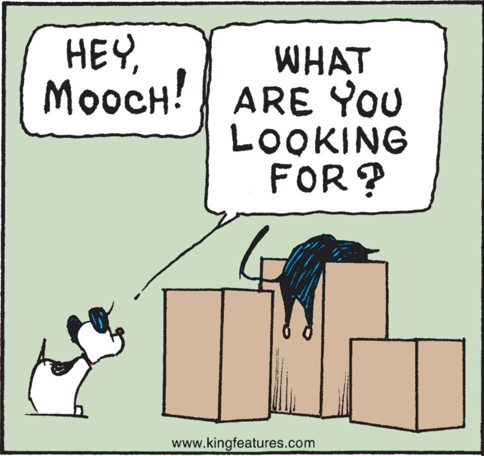 Art OCR: HEYMooc MOOCH! h WHAT ARE YOU LOOKING FOR? Ta www.kingfeatures.com HEYMooc MOOCH ! h WHAT ARE YOU LOOKING FOR ? Ta www.kingfeatures.com
