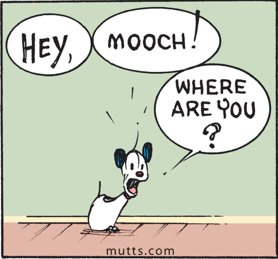 Sharing OCR: HEYDere MOOCH! WHERE ARE YOU ? mutts.com HEYDere MOOCH ! WHERE ARE YOU ? mutts.com
