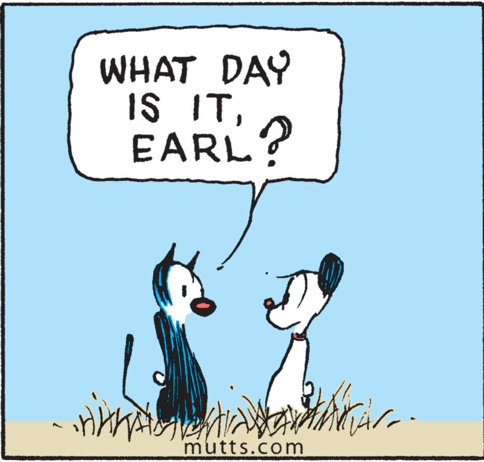 Illustration OCR: WHAT DAY IS ITEARL? Hinnar. mutts.com WHAT DAY IS ITEARL ? Hinnar . mutts.com