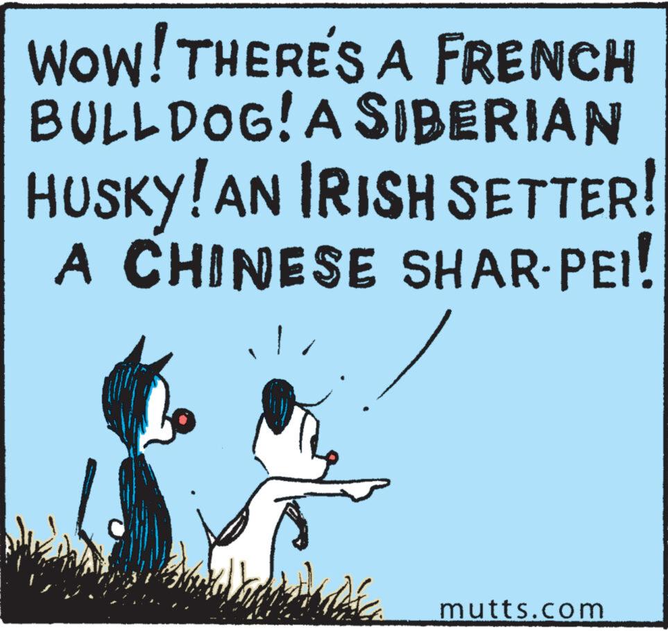 Line art OCR: WOW! THERE'S A FRENCH BULLDOG! A SIBERIAN HUSKY! AN IRISH SETTER! A CHINESE SHAR-PEI! mutts.com WOW ! THERE'S A FRENCH BULLDOG ! A SIBERIAN HUSKY ! AN IRISH SETTER ! A CHINESE SHAR - PEI ! mutts.com