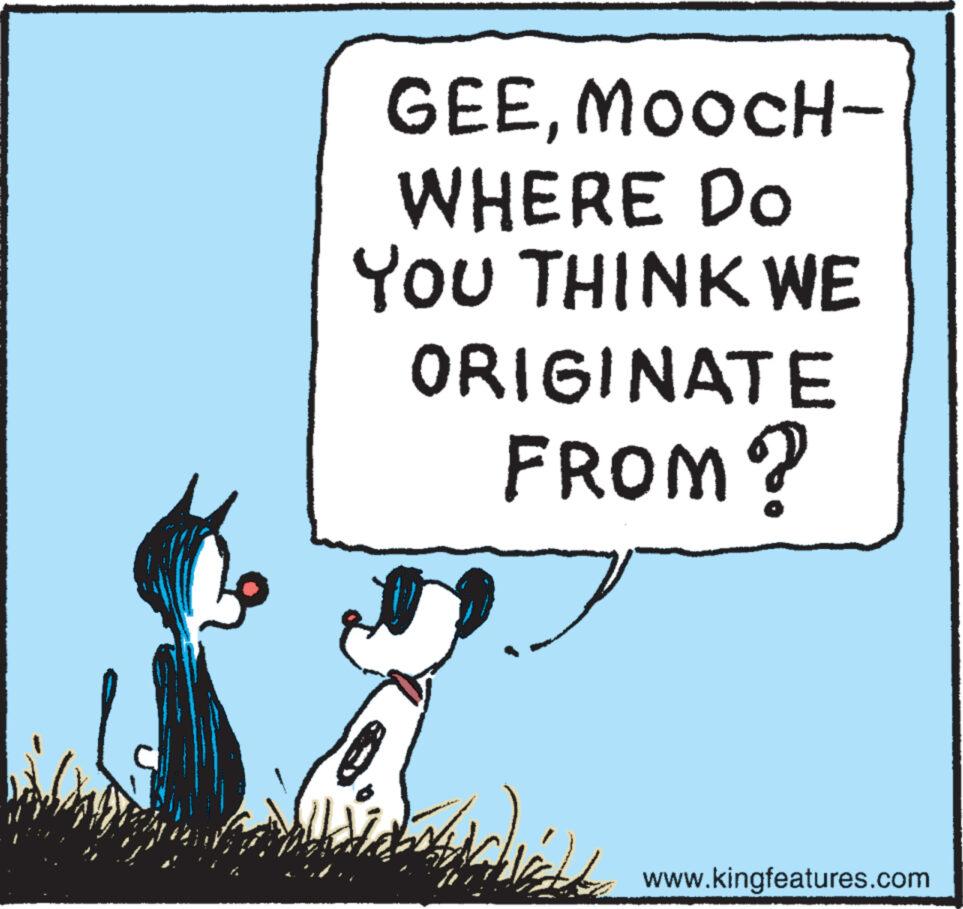 Fiction OCR: GEEMOOCH- WHERE DO YOU THINK WE ORIGINATE FROM? Me www.kingfeatures.com GEEMOOCH WHERE DO YOU THINK WE ORIGINATE FROM ? Me www.kingfeatures.com