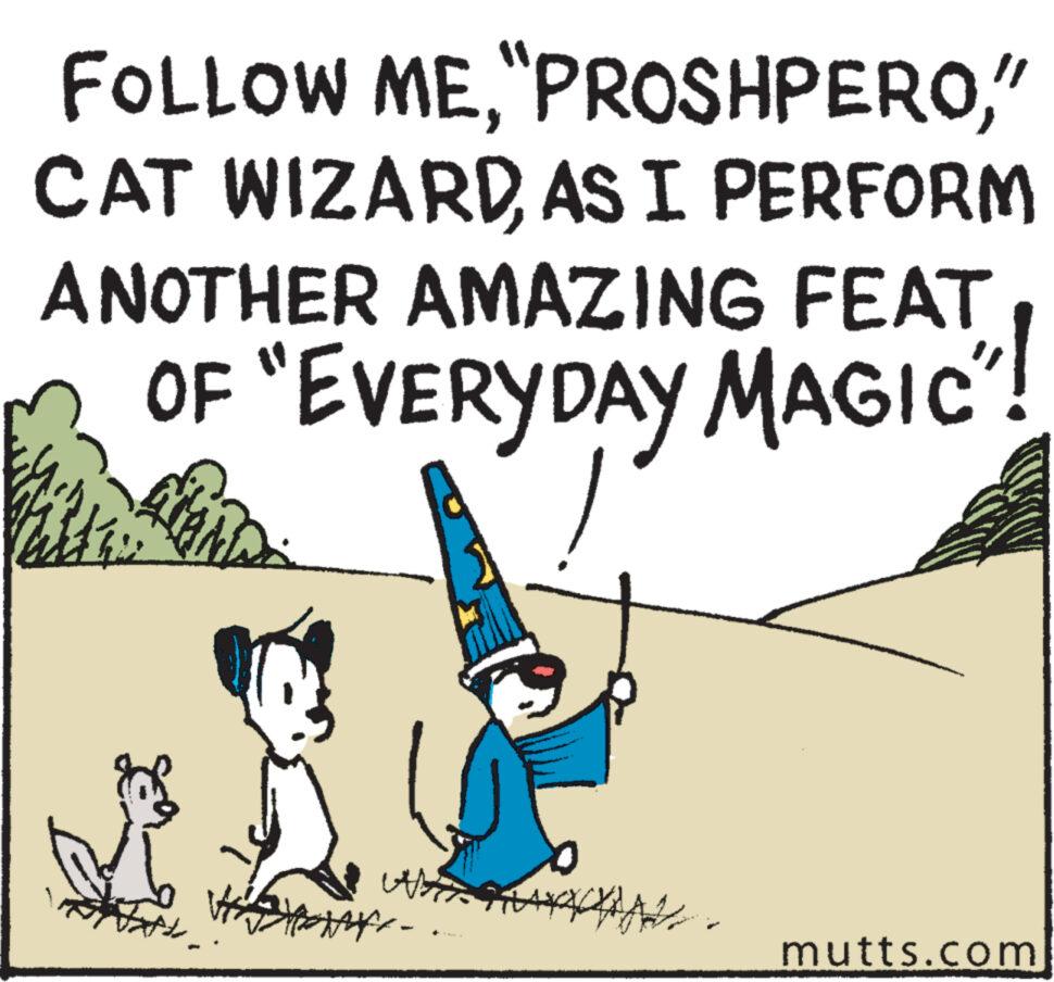People in nature OCR: FOLLOW ME" CAT WIZARDAS I PERFORM ANOTHER AMAZING FEAT OF "EVERYDAY MAGIC"! Ft. WAT Alfa- mutts.com FOLLOW ME" PROSHPERO" CAT WIZARDAS I PERFORM ANOTHER AMAZING FEAT OF " EVERYDAY MAGIC " ! Ft . WAT Alfa mutts.com