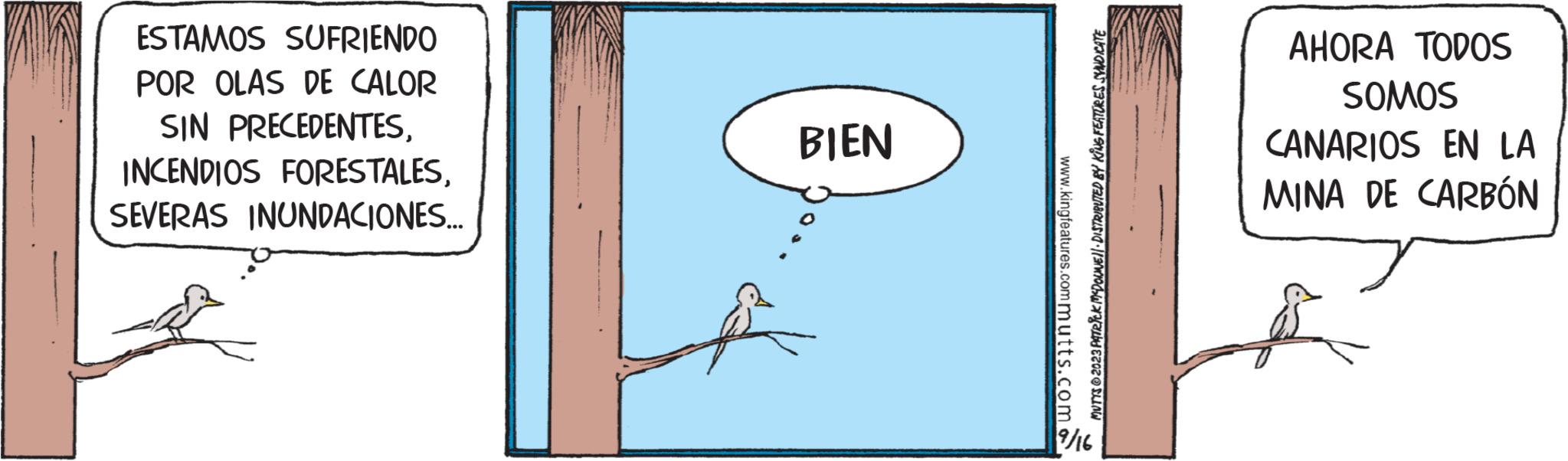 Bird OCR: ESTAMOS SUFRIENDO POR OLAS DE CALOR SIN PRECEDENTESSEVERAS INUNDACIONES... BIEN www.kingfeatures.commutts.com MUTTS © 2023 PATRICK MCDOUNE) · DISTRIBUTED BY KING FEATURES SYNDICATE 9/16 AHORA TODOS SOMOS CANARIOS EN LA MINA DE CARBÓN ESTAMOS SUFRIENDO POR OLAS DE CALOR SIN PRECEDENTESINCENDIOS FORESTALESSEVERAS INUNDACIONES ... BIEN www.kingfeatures.commutts.com MUTTS © 2023 PATRICK MCDOUNE ) · DISTRIBUTED BY KING FEATURES SYNDICATE 9/16 AHORA TODOS SOMOS CANARIOS EN LA MINA DE CARBÓN
