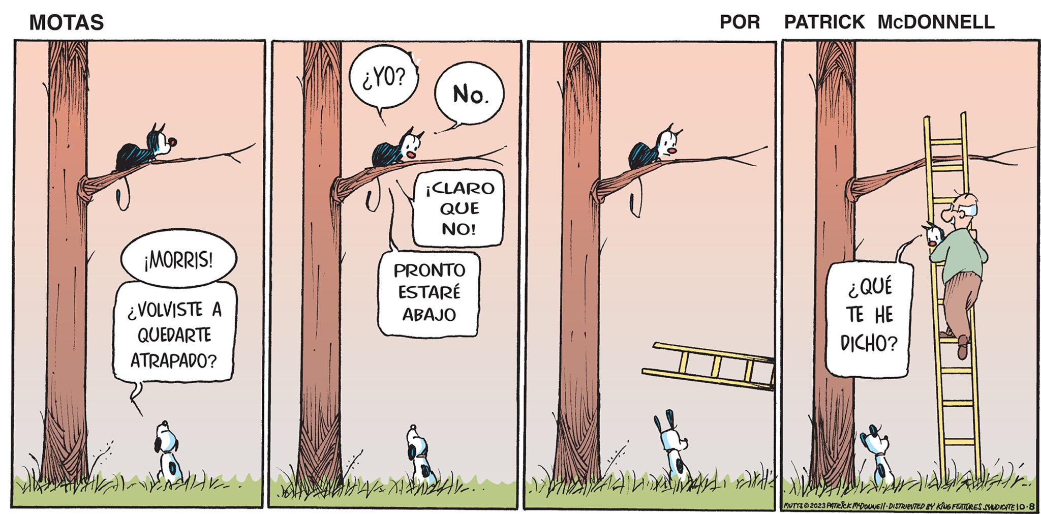 Art OCR: MOTAS K ¡MORRIS! ¿VOLVISTE A QUEDARTE ATRAPADO? FAA ¿YO? No. ¡CLARO QUE NO! PRONTO ESTARÉ ABAJO XXAK.. POR PATRICK MCDONNELL ¿QUÉ TE HE DICHO? Alamandard. MUTYS2023 PATRICK MCDONNEL DISTRIBUTED BY KING FEATURES SYNDICATE 10-8 MOTAS K ¡ MORRIS ! ¿ VOLVISTE A QUEDARTE ATRAPADO ? FAA ¿ YO ? No. ¡ CLARO QUE NO ! PRONTO ESTARÉ ABAJO XXAK .. POR PATRICK MCDONNELL ¿ QUÉ TE HE DICHO ? Alamandard . MUTYS2023 PATRICK MCDONNEL DISTRIBUTED BY KING FEATURES SYNDICATE 10-8