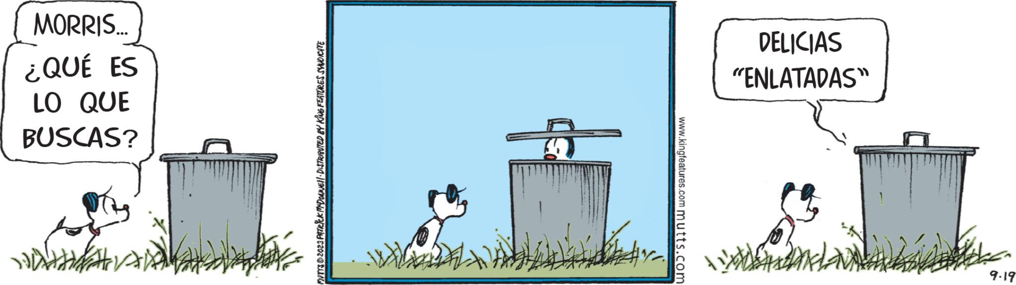 Terrestrial animal OCR: MORRIS... ¿QUÉ ES LO QUE BUSCAS? MITYS?2023 PATRICK MCDONNEL DISTRIBUTED BY KING FEATURES SYNDICATE www.kingfeatures.com mutts.com DELICIAS "ENLATADAS" 9.19 MORRIS ... ¿ QUÉ ES LO QUE BUSCAS ? MITYS?2023 PATRICK MCDONNEL DISTRIBUTED BY KING FEATURES SYNDICATE www.kingfeatures.com mutts.com DELICIAS " ENLATADAS " 9.19