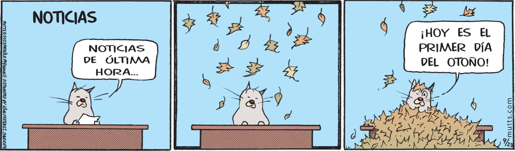 Drawing OCR: MUTTS2023 PATRICK MYDOUNE!! DISTRIBUTED BY KING FEATURES SYNDICATE NOTICIAS NOTICIAS DE ÚLTIMA HORA... jos Å ¡HOY ES EL PRIMER DÍA DEL OTOÑO! F mutts.com 7/23 MUTTS2023 PATRICK MYDOUNE !! DISTRIBUTED BY KING FEATURES SYNDICATE NOTICIAS NOTICIAS DE ÚLTIMA HORA ... jos Å ¡ HOY ES EL PRIMER DÍA DEL OTOÑO ! F mutts.com 7/23