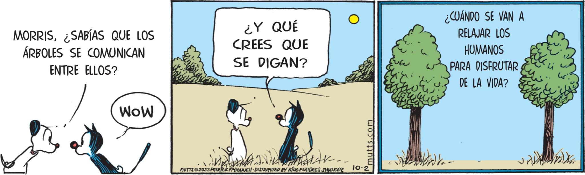 Sharing OCR: MORRIS¿SABÍAS QUE LOS ÁRBOLES SE COMUNICAN ENTRE ELLOS? WOW ¿Y QUÉ CREES QUE SE DIGAN? O intr.. MUTTS © 2023 PATRICK MCDONNELL DISTRIBUTED BY KING FEATURES SYNDICATE mutts.com 10.2 suce e ¿CUÁNDO SE VAN A RELAJAR LOS HUMANOS PARA DISFRUTAR DE LA VIDA? MORRIS¿ SABÍAS QUE LOS ÁRBOLES SE COMUNICAN ENTRE ELLOS ? WOW ¿ Y QUÉ CREES QUE SE DIGAN ? O intr .. MUTTS © 2023 PATRICK MCDONNELL DISTRIBUTED BY KING FEATURES SYNDICATE mutts.com 10.2 suce e ¿ CUÁNDO SE VAN A RELAJAR LOS HUMANOS PARA DISFRUTAR DE LA VIDA ?