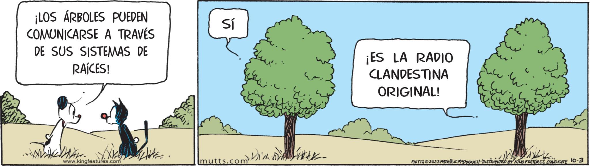 Grass OCR: ¡LOS ÁRBOLES PUEDEN COMUNICARSE A TRAVÉS DE SUS SISTEMAS DE RAÍCES! •WAHAK.. NAWAKE. www.kingfeatures.com Saint Sí ? ??? mutts.com ¡ES LA RADIO CLANDESTINA ORIGINAL! ww. MUTTS © 2023 PATRICK MCDOUNEN/ DISTRIBUTED BY KING FEATURES SYNDICATE 10.3 ¡ LOS ÁRBOLES PUEDEN COMUNICARSE A TRAVÉS DE SUS SISTEMAS DE RAÍCES ! • WAHAK .. NAWAKE . www.kingfeatures.com Saint Sí ? ? ? ? mutts.com ¡ ES LA RADIO CLANDESTINA ORIGINAL ! ww . MUTTS © 2023 PATRICK MCDOUNEN / DISTRIBUTED BY KING FEATURES SYNDICATE 10.3