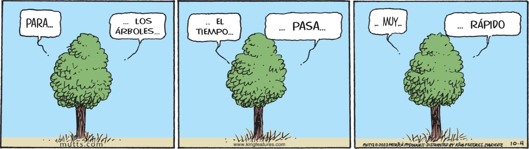 Grass OCR: PARA... LOS ÁRBOLES... · SALVA.. mutts.com EL TIEMPO... Ein ?? ….. www.kingfeatures.com PASA... *** MUY.... de cate www RÁPIDO Vide MUTTS2023 PATRICK MCDONNE11 - DISTRIBUTED BY KING FEATURES SYNDICATE 10.4 PARA ... LOS ÁRBOLES ... · SALVA .. mutts.com EL TIEMPO ... Ein ?? … .. www.kingfeatures.com PASA ... *** MUY .... de cate www RÁPIDO Vide MUTTS2023 PATRICK MCDONNE11 - DISTRIBUTED BY KING FEATURES SYNDICATE 10.4