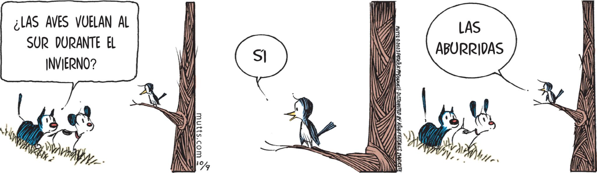 Tail OCR: at ¿LAS AVES VUELAN AL SUR DURANTE EL INVIERNO? mutts.com 1% S1 MUTYS 2023 PATRICK MCDOWEL DISTRIBUTED BY KING FEATURES SYNDICATE LAS ABURRIDAS D AN at ¿ LAS AVES VUELAN AL SUR DURANTE EL INVIERNO ? mutts.com 1 % S1 MUTYS 2023 PATRICK MCDOWEL DISTRIBUTED BY KING FEATURES SYNDICATE LAS ABURRIDAS D AN