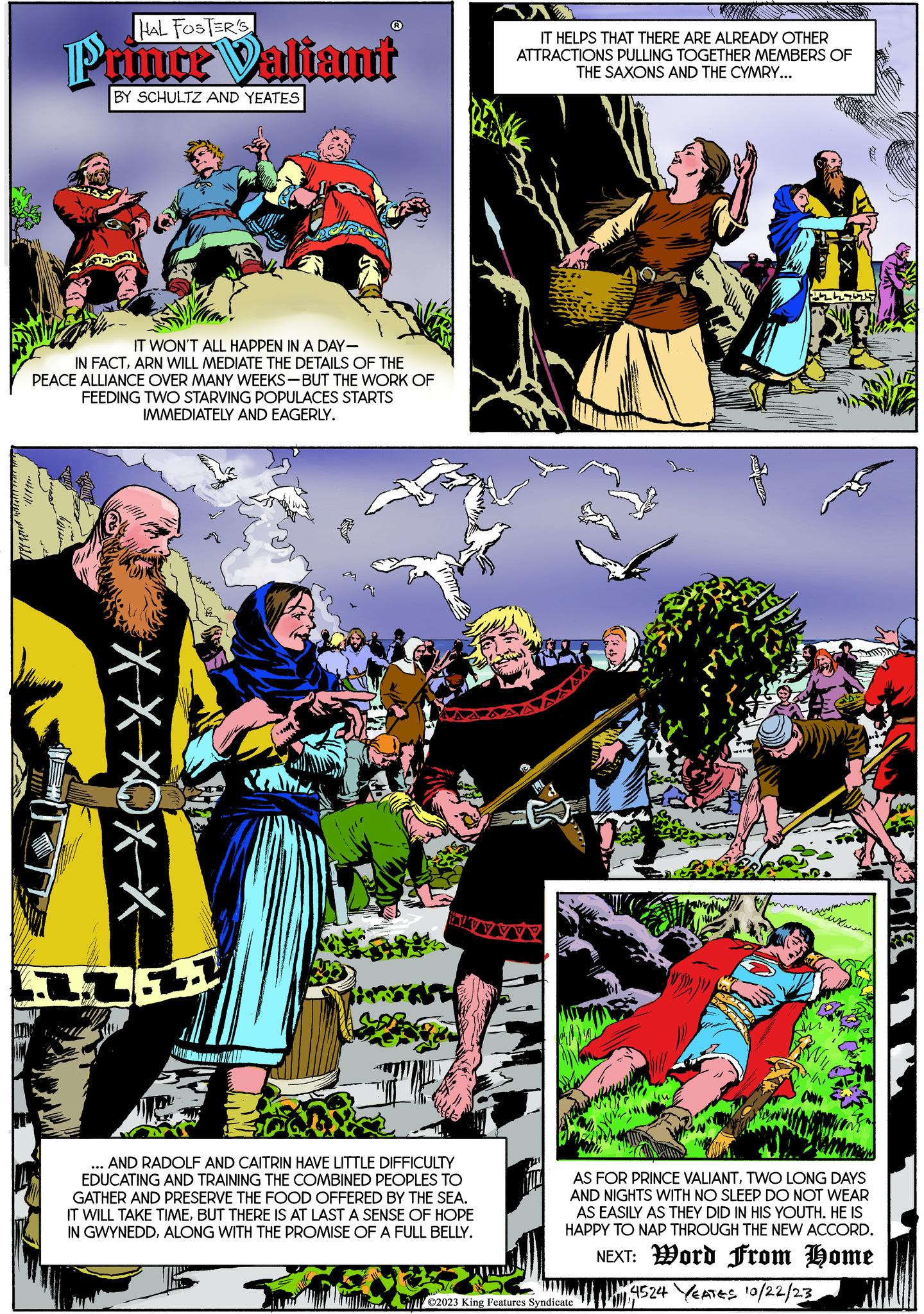 Illustration OCR: with hal HAL FOSTER'S Prince Valiant BY SCHULTZ AND YEATES IT WON'T ALL HAPPEN IN A DAY- IN FACTARN WILL MEDIATE THE DETAILS OF THE PEACE ALLIANCE OVER MANY WEEKS-BUT THE WORK OF FEEDING TWO STARVING POPULACES STARTS IMMEDIATELY AND EAGERLY. XXXXX ... AND RADOLF AND CAITRIN HAVE LITTLE DIFFICULTY EDUCATING AND TRAINING THE COMBINED PEOPLES TO GATHER AND PRESERVE THE FOOD OFFERED BY THE SEA. IT WILL TAKE TIMEBUT THERE IS AT LAST A SENSE OF HOPE IN GWYNEDDALONG WITH THE PROMISE OF A FULL BELLY. IT HELPS THAT THERE ARE ALREADY OTHER ATTRACTIONS PULLING TOGETHER MEMBERS OF THE SAXONS AND THE CYMRY... 1242424 ©2023 King Features Syndicate quemens AS FOR PRINCE VALIANTTWO LONG DAYS AND NIGHTS WITH NO SLEEP DO NOT WEAR AS EASILY AS THEY DID IN HIS YOUTH. HE IS HAPPY TO NAP THROUGH THE NEW ACCORD. NEXT: Word From Home 14524 YEATES 10/22/23 with hal HAL FOSTER'S Prince Valiant BY SCHULTZ AND YEATES IT WON'T ALL HAPPEN IN A DAY IN FACTARN WILL MEDIATE THE DETAILS OF THE PEACE ALLIANCE OVER MANY WEEKS - BUT THE WORK OF FEEDING TWO STARVING POPULACES STARTS IMMEDIATELY AND EAGERLY . XXXXX ... AND RADOLF AND CAITRIN HAVE LITTLE DIFFICULTY EDUCATING AND TRAINING THE COMBINED PEOPLES TO GATHER AND PRESERVE THE FOOD OFFERED BY THE SEA . IT WILL TAKE TIMEBUT THERE IS AT LAST A SENSE OF HOPE IN GWYNEDDALONG WITH THE PROMISE OF A FULL BELLY . IT HELPS THAT THERE ARE ALREADY OTHER ATTRACTIONS PULLING TOGETHER MEMBERS OF THE SAXONS AND THE CYMRY ... 1242424 © 2023 King Features Syndicate quemens AS FOR PRINCE VALIANTTWO LONG DAYS AND NIGHTS WITH NO SLEEP DO NOT WEAR AS EASILY AS THEY DID IN HIS YOUTH . HE IS HAPPY TO NAP THROUGH THE NEW ACCORD . NEXT : Word From Home 14524 YEATES 10/22/23