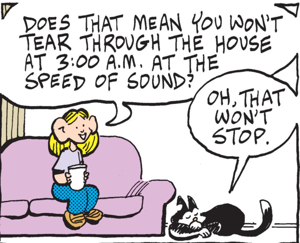 Happy OCR: DOES THAT MEAN YOU WON'T TEAR THROUGH THE HOUSE AT 3:00 A.M. AT THE SPEED OF SOUND? OHTHAT WON'T STOP. DOES THAT MEAN YOU WON'T TEAR THROUGH THE HOUSE AT 3:00 A.M. AT THE SPEED OF SOUND ? OHTHAT WON'T STOP .