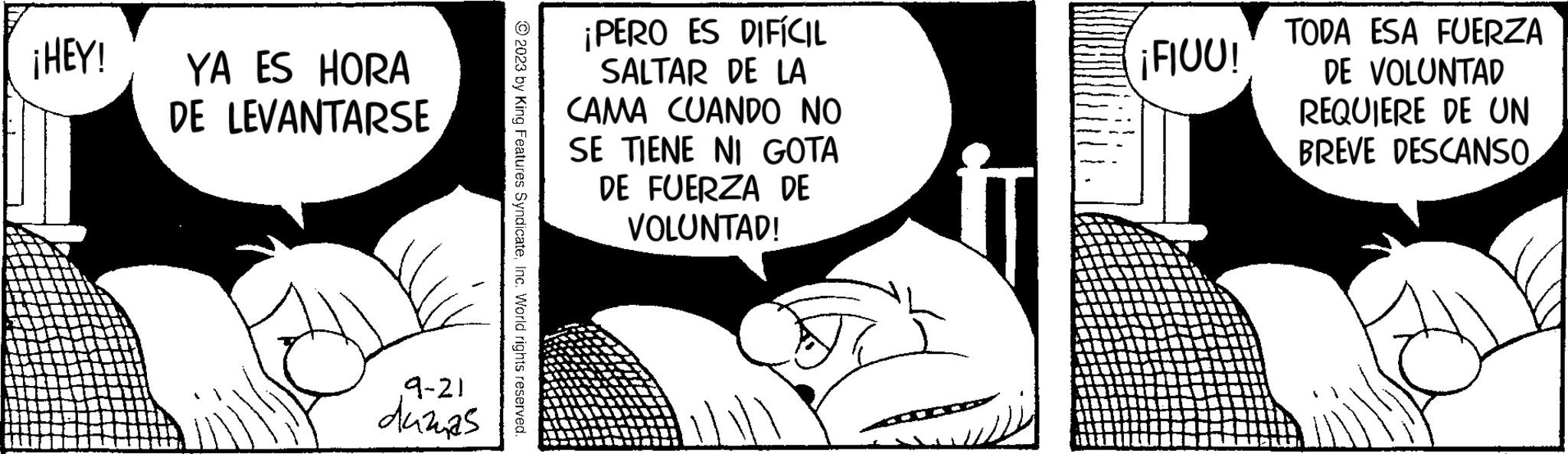 Fiction OCR: ¡HEY! YA ES HORA DE LEVANTARSE 9-21 dúzias © 2023 by King Features SyndicateInc. World rights reserved. ¡PERO ES DIFÍCIL SALTAR DE LA CAMA CUANDO NO SE TIENE NI GOTA DE FUERZA DE VOLUNTAD! ¡FIUU! TODA ESA FUERZA DE VOLUNTAD REQUIERE DE UN BREVE DESCANSO ¡ HEY ! YA ES HORA DE LEVANTARSE 9-21 dúzias © 2023 by King Features SyndicateInc. World rights reserved . ¡ PERO ES DIFÍCIL SALTAR DE LA CAMA CUANDO NO SE TIENE NI GOTA DE FUERZA DE VOLUNTAD ! ¡ FIUU ! TODA ESA FUERZA DE VOLUNTAD REQUIERE DE UN BREVE DESCANSO
