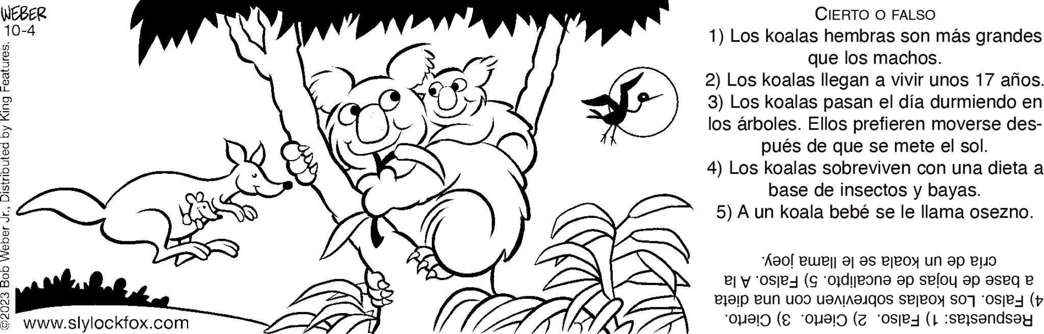 Font OCR: WEBER 10-4 ©2023 Bob Weber Jr.Distributed by King Features. www.slylockfox.com 3/- PARI CIERTO O FALSO 1) Los koalas hembras son más grandes que los machos. 2) Los koalas llegan a vivir unos 17 años. 3) Los koalas pasan el día durmiendo en los árboles. Ellos prefieren moverse des- pués de que se mete el sol. 4) Los koalas sobreviven con una dieta a base de insectos y bayas. 5) A un koala bebé se le llama osezno. Kol eller es ( in et un tos antigos ( un p p solo ap se e (h ( (ande WEBER 10-4 © 2023 Bob Weber Jr.Distributed by King Features . www.slylockfox.com 3 / PARI CIERTO O FALSO 1 ) Los koalas hembras son más grandes que los machos . 2 ) Los koalas llegan a vivir unos 17 años . 3 ) Los koalas pasan el día durmiendo en los árboles . Ellos prefieren moverse des pués de que se mete el sol . 4 ) Los koalas sobreviven con una dieta a base de insectos y bayas . 5 ) A un koala bebé se le llama osezno . Kol eller es ( in et un tos antigos ( un p p solo ap se e ( h ( ( ande