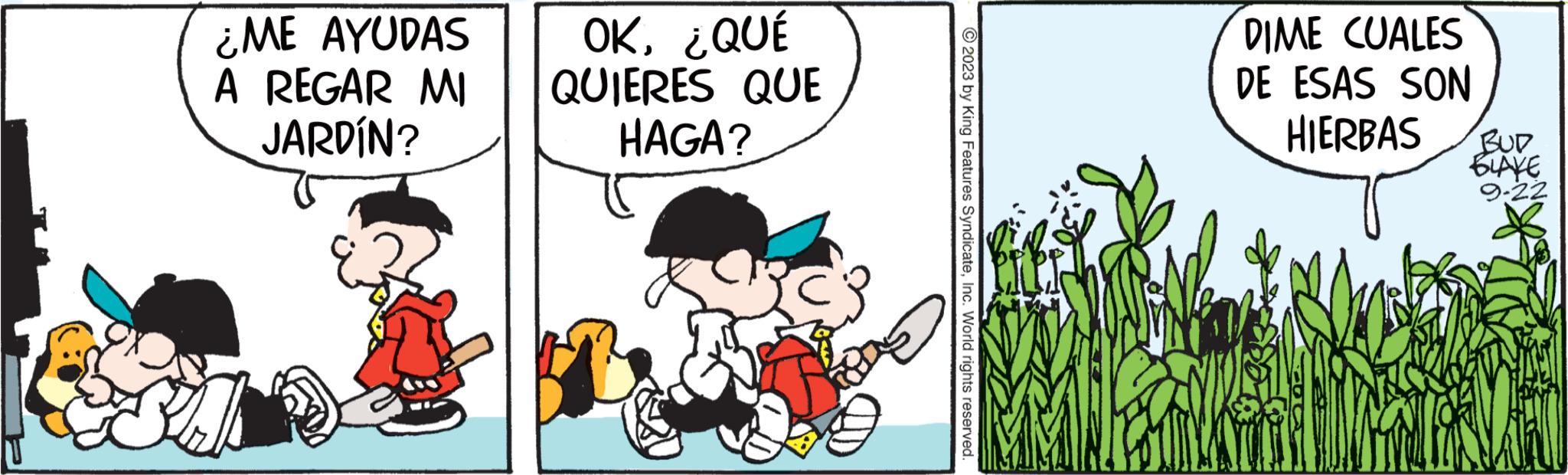Art OCR: ¿ME AYUDAS A REGAR MI JARDÍN? SA OK¿QUÉ QUIERES QUE HAGA? Kons © 2023 by King Features SyndicateInc. World rights reserved. DIME CUALES DE ESAS SON HIERBAS BUD BLAKE 9-22 ¿ ME AYUDAS A REGAR MI JARDÍN ? SA OK¿ QUÉ QUIERES QUE HAGA ? Kons © 2023 by King Features SyndicateInc. World rights reserved . DIME CUALES DE ESAS SON HIERBAS BUD BLAKE 9-22