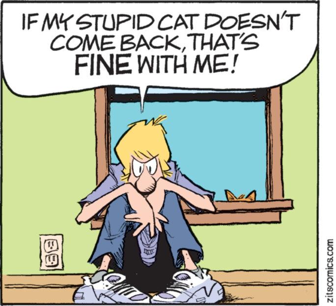 Fictional character OCR: IF MY STUPID CAT DOESN'T COME BACKTHAT'S FINE WITH ME! 15 zitscomics.com IF MY STUPID CAT DOESN'T COME BACKTHAT'S FINE WITH ME ! 15 zitscomics.com