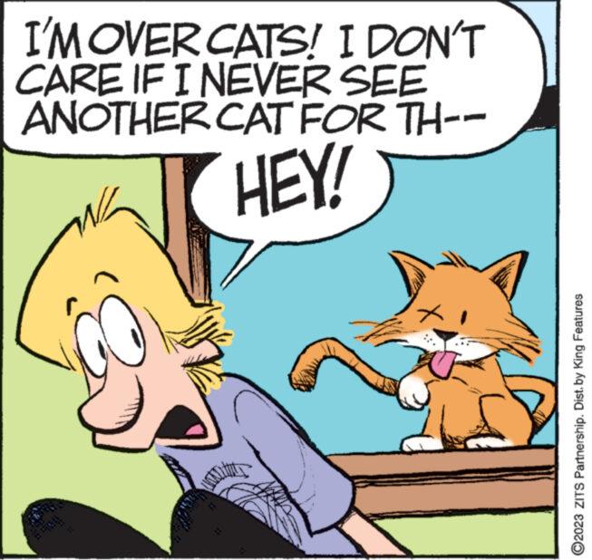 Drawing OCR: I'M OVER CATS! I DON'T CARE IF I NEVER SEE ANOTHER CAT FOR TH-- HEY! x Y ?2023 ZITS Partnership. Dist. by King Features I'M OVER CATS ! I DON'T CARE IF I NEVER SEE ANOTHER CAT FOR TH- HEY ! x Y ?2023 ZITS Partnership . Dist . by King Features