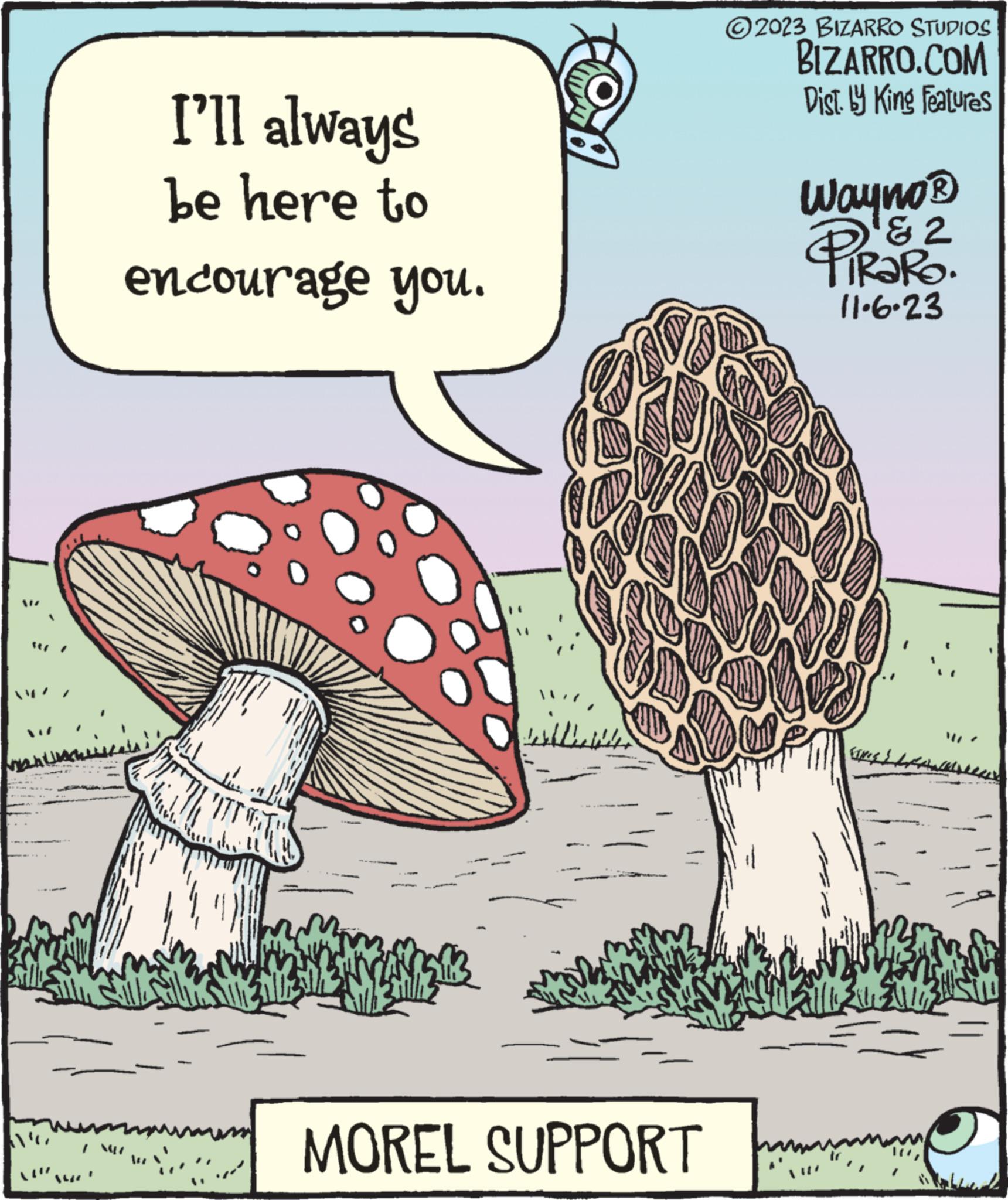 Fungus OCR: I'll always be here to encourage you. mamm R BRO MOREL SUPPORT ?2023 BIZARRO STUDIOS BIZARRO.COM Dist. by King Features OP Wayno ? & 2 TRaRo. 11.6.23 I'll always be here to encourage you . mamm R BRO MOREL SUPPORT ?2023 BIZARRO STUDIOS BIZARRO.COM Dist . by King Features OP Wayno ? & 2 TRaRo . 11.6.23