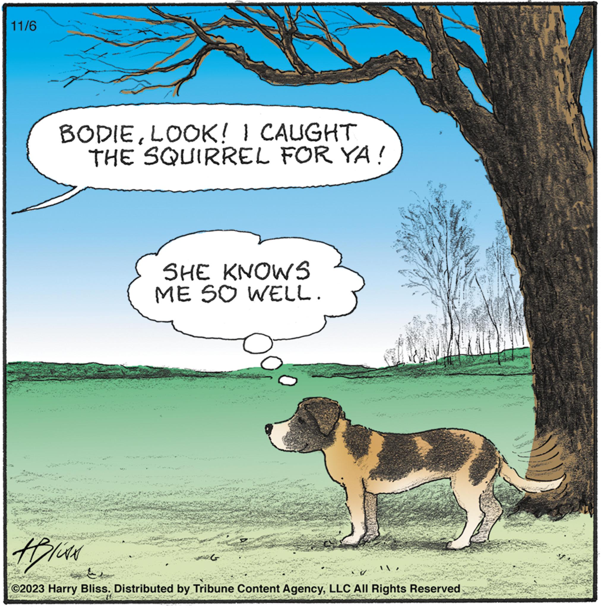 Grassland OCR: 11/6 BODIELOOK! I CAUGHT THE SQUIRREL FOR YA! SHE KNOWS ME SO WELL. #liss ©2023 Harry Bliss. Distributed by Tribune Content AgencyLLC All Rights Reserved 11/6 BODIELOOK ! I CAUGHT THE SQUIRREL FOR YA ! SHE KNOWS ME SO WELL . #liss © 2023 Harry Bliss . Distributed by Tribune Content AgencyLLC All Rights Reserved