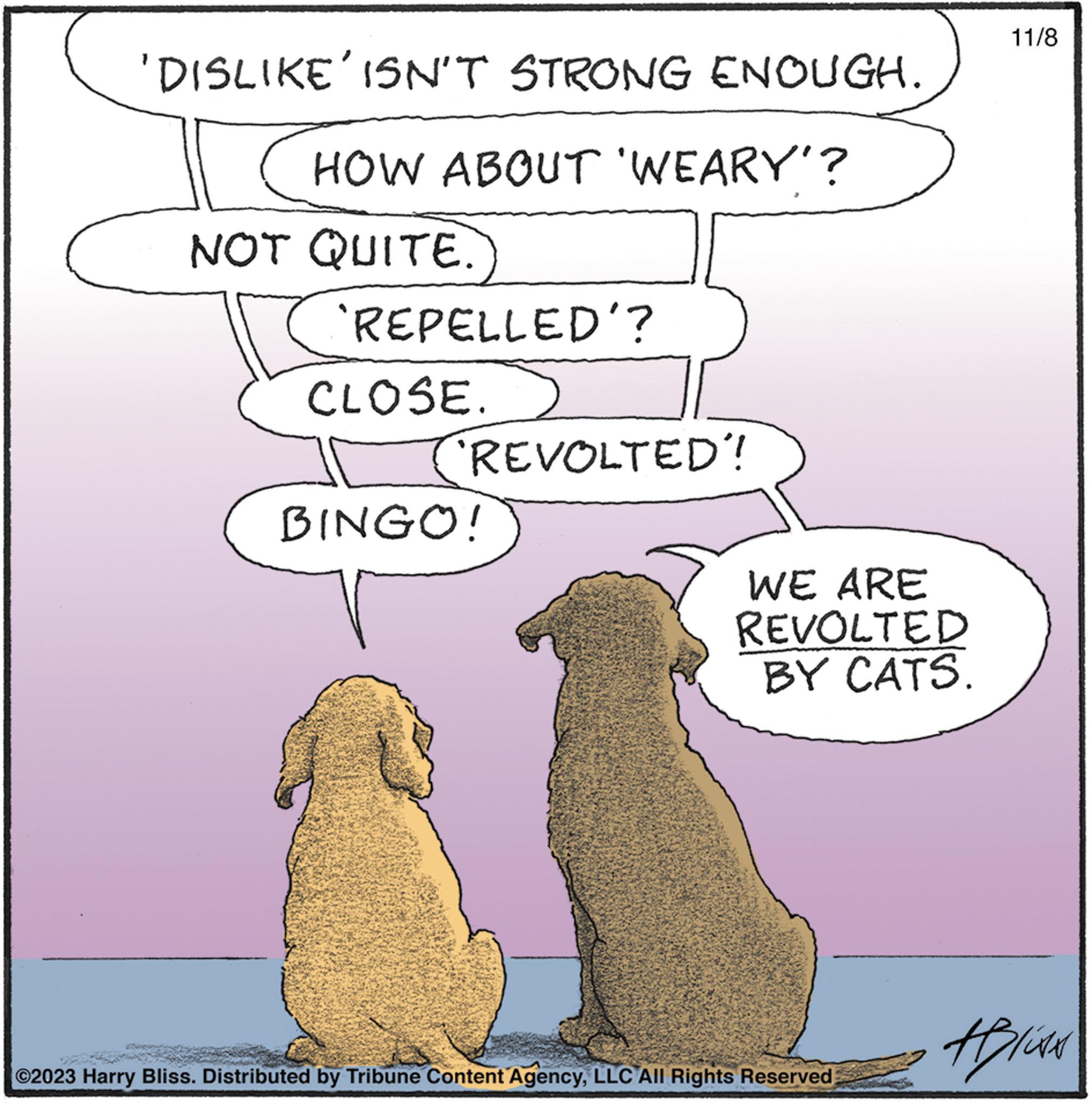 Water OCR: 'DISLIKE' ISN'T STRONG ENOUGH. HOW ABOUT 'WEARY'? NOT QUITE. 'REPELLED'? CLOSE. (REVOLTED! BINGO! WE ARE REVOLTED BY CATS. ?2023 Harry Bliss. Distributed by Tribune Content AgencyLLC All Rights Reserved 11/8 HICAN ' DISLIKE ' ISN'T STRONG ENOUGH . HOW ABOUT ' WEARY ' ? NOT QUITE . ' REPELLED ' ? CLOSE . ( REVOLTED ! BINGO ! WE ARE REVOLTED BY CATS . ?2023 Harry Bliss . Distributed by Tribune Content AgencyLLC All Rights Reserved 11/8 HICAN