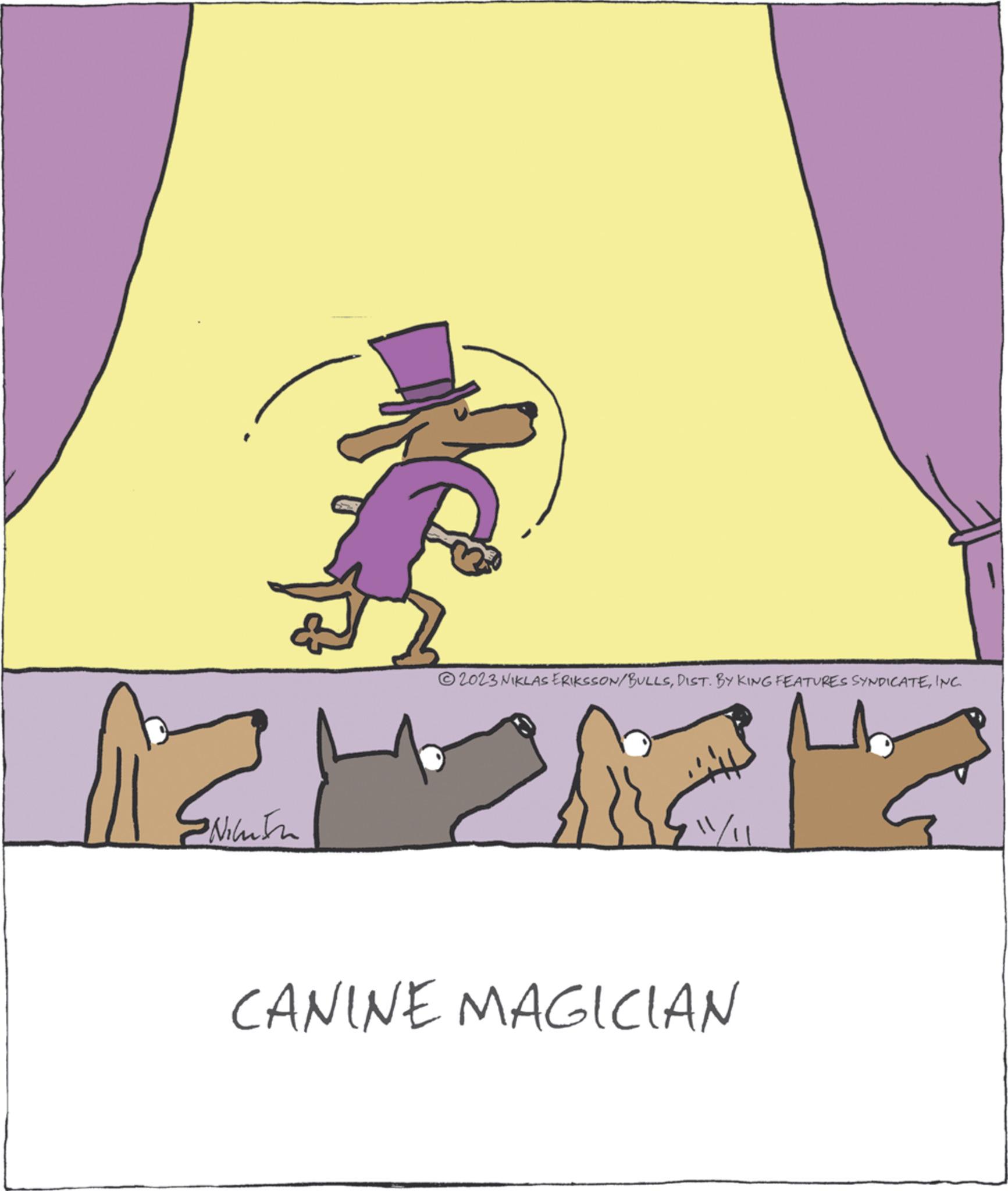 Happy OCR: © 2023 NIKLASERIKSSON/BULLSINC ???? Nilufa CANINE MAGICIAN © 2023 NIKLASERIKSSON / BULLSDIST . BY KING FEATURES SYNDICATEINC ?? ? ? Nilufa CANINE MAGICIAN