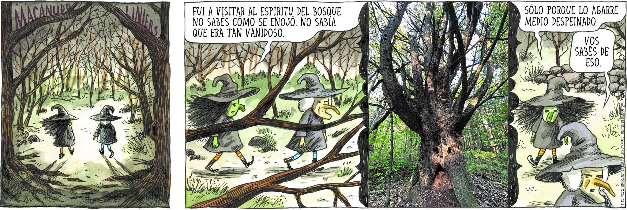 Art OCR: MACANUDO LINIERS FUI A VISITAR AL ESPÍRITU DEL BOSQUE. NO SABES COMO SE ENOJÓ. NO SABÍA QUE ERA TAN VANIDOSO. wsMa SÓLO PORQUE LO AGARRÉ MEDIO DESPEINADO. (12. VOS SABÉS DE ESO. mim 11-12 2023 LINIERSDISTRIN MACANUDO LINIERS FUI A VISITAR AL ESPÍRITU DEL BOSQUE . NO SABES COMO SE ENOJÓ . NO SABÍA QUE ERA TAN VANIDOSO . wsMa SÓLO PORQUE LO AGARRÉ MEDIO DESPEINADO . ( 12 . VOS SABÉS DE ESO . mim 11-12 2023 LINIERS