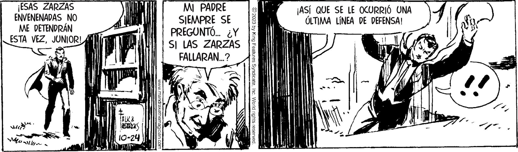 Comic book OCR: ¡ESAS ZARZAS ENVENENADAS NO ME DETENDRÁN ESTA VEZJUNIOR! we Medite UI TALK & REDERICKS 10-24 MI PADRE SIEMPRE SE PREGUNTÓ... ¿Y SI LAS ZARZAS FALLARAN...? ¡ASÍ QUE SE LE OCURRIÓ UNA ÚLTIMA LÍNEA DE DEFENSA! ¡ ESAS ZARZAS ENVENENADAS NO ME DETENDRÁN ESTA VEZJUNIOR ! we Medite UI TALK & REDERICKS 10-24 MI PADRE SIEMPRE SE PREGUNTÓ ... ¿ Y SI LAS ZARZAS FALLARAN ... ? ¡ ASÍ QUE SE LE OCURRIÓ UNA ÚLTIMA LÍNEA DE DEFENSA !