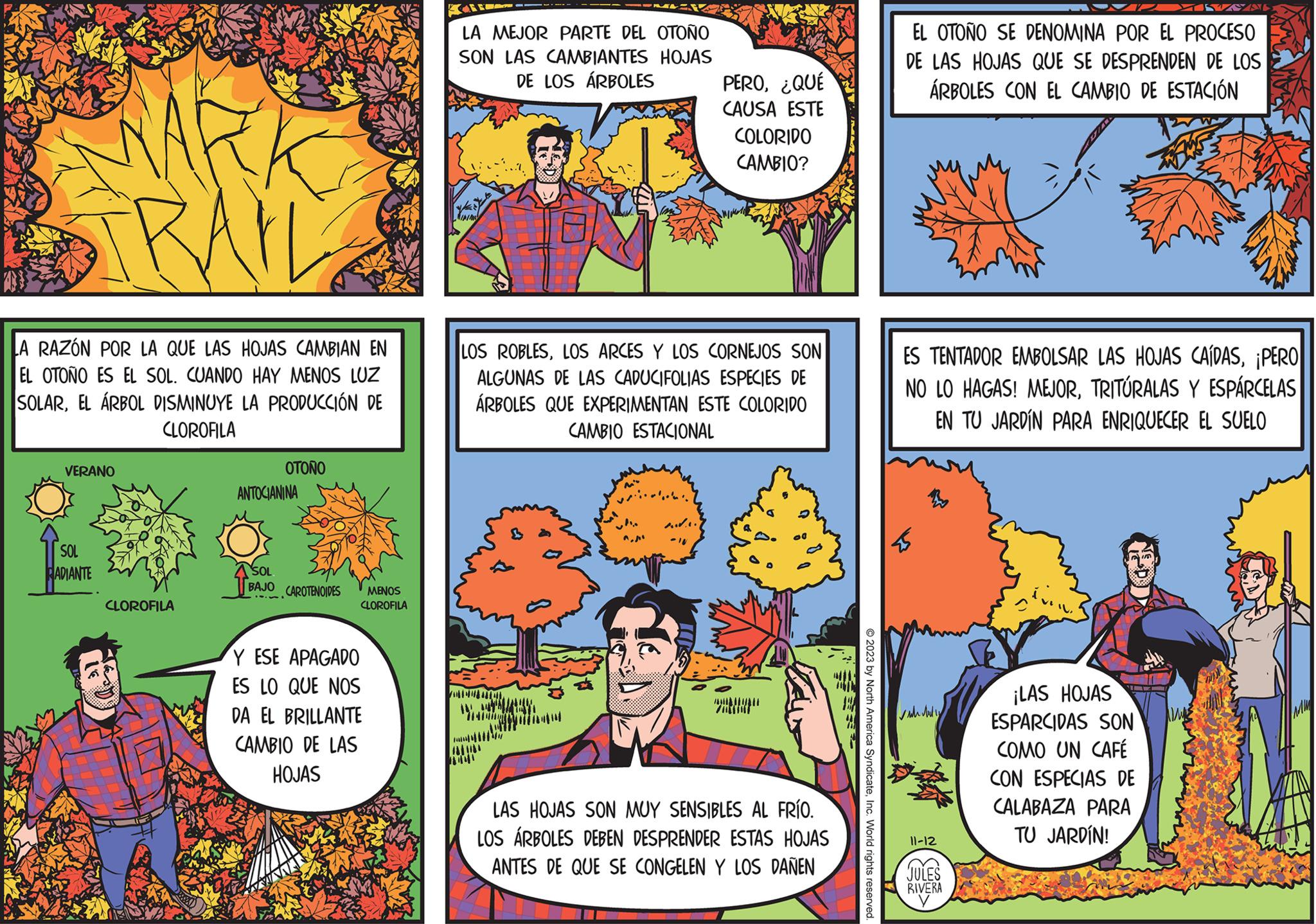 Comics OCR: LA RAZÓN POR LA QUE LAS HOJAS CAMBIAN EN EL OTOÑO ES EL SOL. CUANDO HAY MENOS LUZ SOLAREL ÁRBOL DISMINUYE LA PRODUCCIÓN DE CLOROFILA VERANO SOL RADIANTE CLOROFILA OTOÑO ANTOGIANINA SOL BAJO CAROTENOIDES MENOS CLOROFILA Y ESE APAGADO ES LO QUE NOS DA EL BRILLANTE CAMBIO DE LAS HOJAS PEEL- LA MEJOR PARTE DEL OTOÑO SON LAS CAMBIANTES HOJAS DE LOS ÁRBOLES yait INI Taping LOS ROBLESLOS ARCES Y LOS CORNEJOS SON ALGUNAS DE LAS CADUCIFOLIAS ESPECIES DE ÁRBOLES QUE EXPERIMENTAN ESTE COLORIDO CAMBIO ESTACIONAL Fault 1111111 8 PERO¿QUÉ CAUSA ESTE M" COLORIDO CAMBIO? LAS HOJAS SON MUY SENSIBLES AL FRÍO. LOS ÁRBOLES DEBEN DESPRENDER ESTAS HOJAS ANTES DE QUE SE CONGELEN Y LOS DAÑEN © 2023 by North America SyndicateInc. World rights reserved. EL OTOÑO SE DENOMINA POR EL PROCESO DE LAS HOJAS QUE SE DESPRENDEN DE LOS ÁRBOLES CON EL CAMBIO DE ESTACIÓN ES TENTADOR EMBOLSAR LAS HOJAS CAÍDAS¡PERO NO LO HAGAS! MEJORTRITÚRALAS Y ESPÁRCELAS EN TU JARDÍN PARA ENRIQUECER EL SUELO W ?ula Andly 11-12 JULES RIVERA ¡LAS HOJAS ESPARCIDAS SON COMO UN CAFÉ CON ESPECIAS DE CALABAZA PARA TU JARDÍN! AIME MW LA RAZÓN POR LA QUE LAS HOJAS CAMBIAN EN EL OTOÑO ES EL SOL . CUANDO HAY MENOS LUZ SOLAREL ÁRBOL DISMINUYE LA PRODUCCIÓN DE CLOROFILA VERANO SOL RADIANTE CLOROFILA OTOÑO ANTOGIANINA SOL BAJO CAROTENOIDES MENOS CLOROFILA Y ESE APAGADO ES LO QUE NOS DA EL BRILLANTE CAMBIO DE LAS HOJAS PEEL LA MEJOR PARTE DEL OTOÑO SON LAS CAMBIANTES HOJAS DE LOS ÁRBOLES yait INI Taping LOS ROBLESLOS ARCES Y LOS CORNEJOS SON ALGUNAS DE LAS CADUCIFOLIAS ESPECIES DE ÁRBOLES QUE EXPERIMENTAN ESTE COLORIDO CAMBIO ESTACIONAL Fault 1111111 8 PERO¿ QUÉ CAUSA ESTE M " COLORIDO CAMBIO ? LAS HOJAS SON MUY SENSIBLES AL FRÍO . LOS ÁRBOLES DEBEN DESPRENDER ESTAS HOJAS ANTES DE QUE SE CONGELEN Y LOS DAÑEN © 2023 by North America SyndicateInc. World rights reserved . EL OTOÑO SE DENOMINA POR EL PROCESO DE LAS HOJAS QUE SE DESPRENDEN DE LOS ÁRBOLES CON EL CAMBIO DE ESTACIÓN ES TENTADOR EMBOLSAR LAS HOJAS CAÍDAS¡ PERO NO LO HAGAS ! MEJORTRITÚRALAS Y ESPÁRCELAS EN TU JARDÍN PARA ENRIQUECER EL SUELO W ?ula Andly 11-12 JULES RIVERA ¡ LAS HOJAS ESPARCIDAS SON COMO UN CAFÉ CON ESPECIAS DE CALABAZA PARA TU JARDÍN ! AIME MW