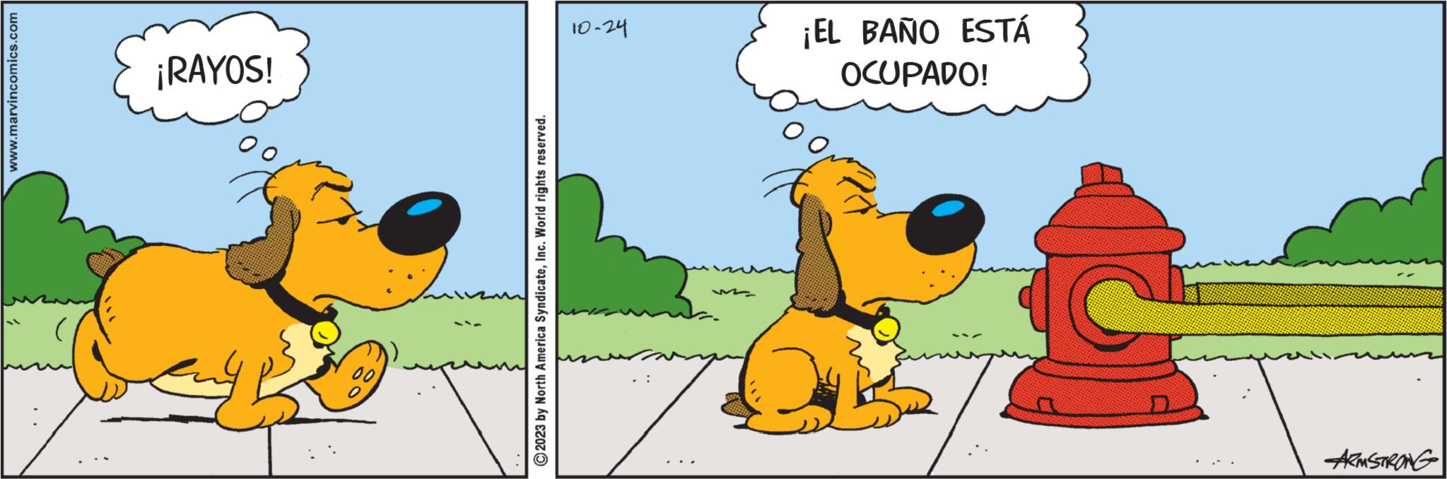 Working animal OCR: L ARMSTRONG www.marvincomics.com © 2023 by North America SyndicateInc. World rights reserved. ¡RAYOS! 10-24 OCUPADO! ¡EL BAÑO ESTÁ L ARMSTRONG www.marvincomics.com © 2023 by North America SyndicateInc. World rights reserved . ¡ RAYOS ! 10-24 OCUPADO ! ¡ EL BAÑO ESTÁ