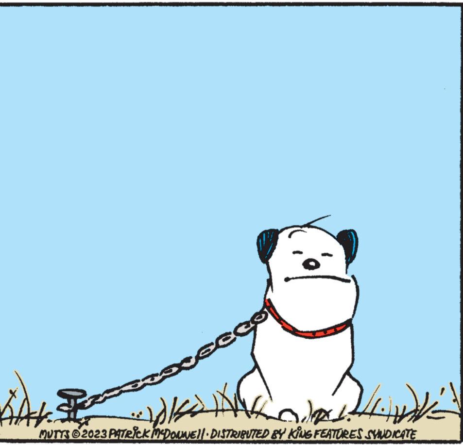 Terrestrial animal OCR: seco BAH MUTTS © 2023 PATRICK MCDONNE||· DISTRIBUTED BY KING FEATURES SYNDICATE ??? ? ??????? seco BAH MUTTS © 2023 PATRICK MCDONNE || · DISTRIBUTED BY KING FEATURES SYNDICATE ??? ? ???????