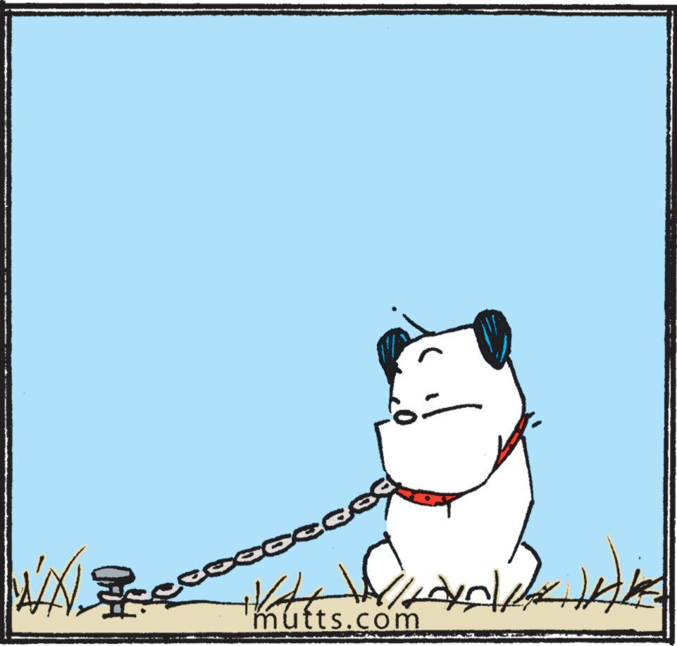 Felidae OCR: ?? eceç See ?????? mutts.com HAKE ?? eceç See ?????? mutts.com HAKE