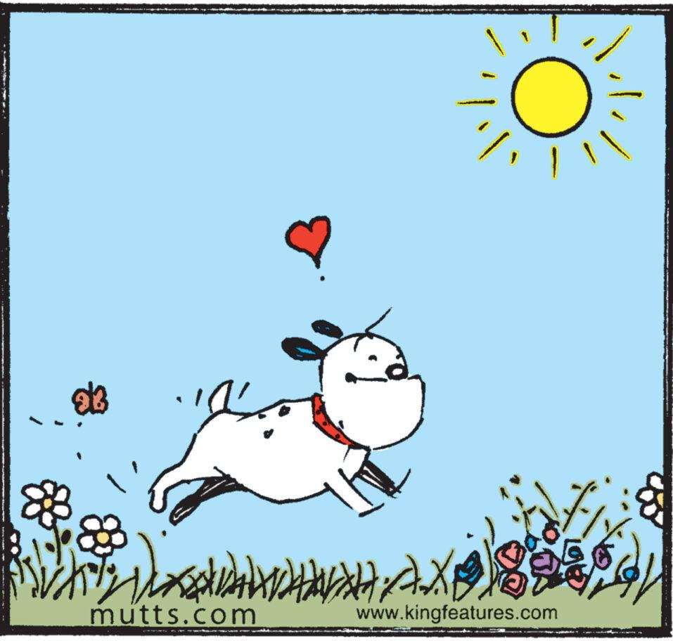 Grass OCR: 3 WHICHANNAH FX? mutts.com www.kingfeatures.com 3 WHICHANNAH FX? mutts.com www.kingfeatures.com