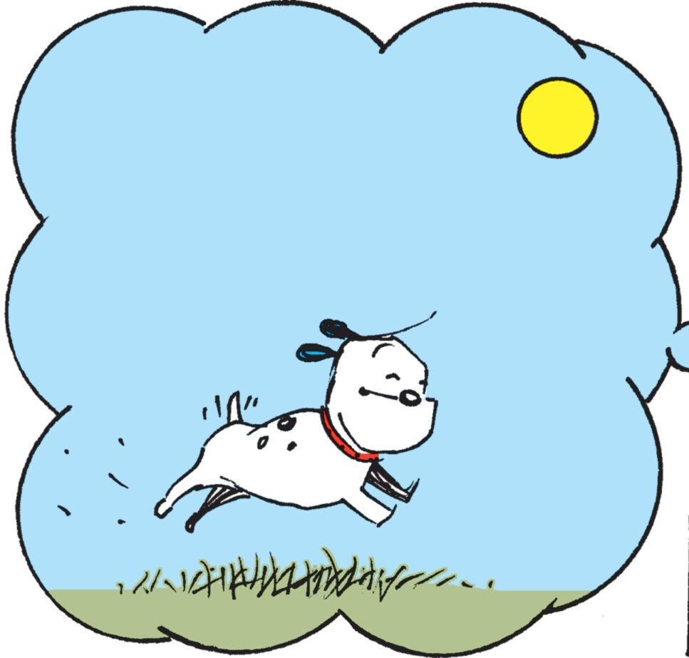 Snout OCR: !!! #HHHH O !!! #HHHH O