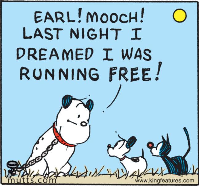 Poster OCR: EARL! MOOCH! O LAST NIGHT I DREAMED I WAS RUNNING FREE! OLAIN ADALAH $14 mutts.com www.kingfeatures.com EARL ! MOOCH ! O LAST NIGHT I DREAMED I WAS RUNNING FREE ! OLAIN ADALAH $ 14 mutts.com www.kingfeatures.com