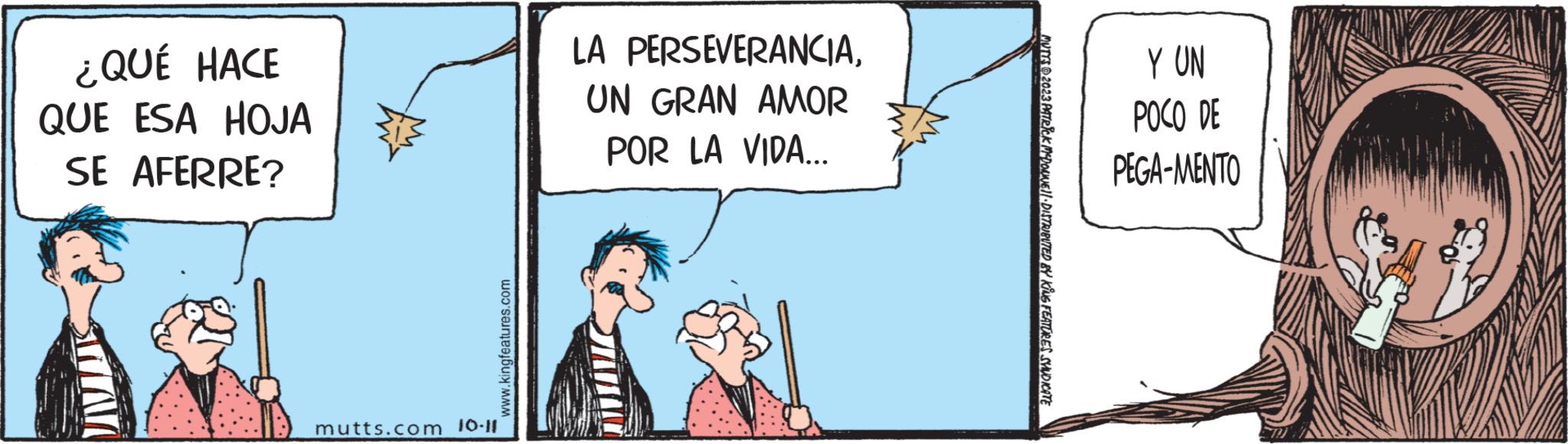 Humour OCR: ¿QUÉ HACE QUE ESA HOJA SE AFERRE? mutts.com 10.11 www.kingfeatures.com LA PERSEVERANCIAUN GRAN AMOR POR LA VIDA... MUTTS © 2023 PATRICK MCDOLWE DISTRIBUTED BY KING FEATURES SYNDICATE Y UN POCO DE PEGA-MENTO ¿ QUÉ HACE QUE ESA HOJA SE AFERRE ? mutts.com 10.11 www.kingfeatures.com LA PERSEVERANCIAUN GRAN AMOR POR LA VIDA ... MUTTS © 2023 PATRICK MCDOLWE DISTRIBUTED BY KING FEATURES SYNDICATE Y UN POCO DE PEGA - MENTO