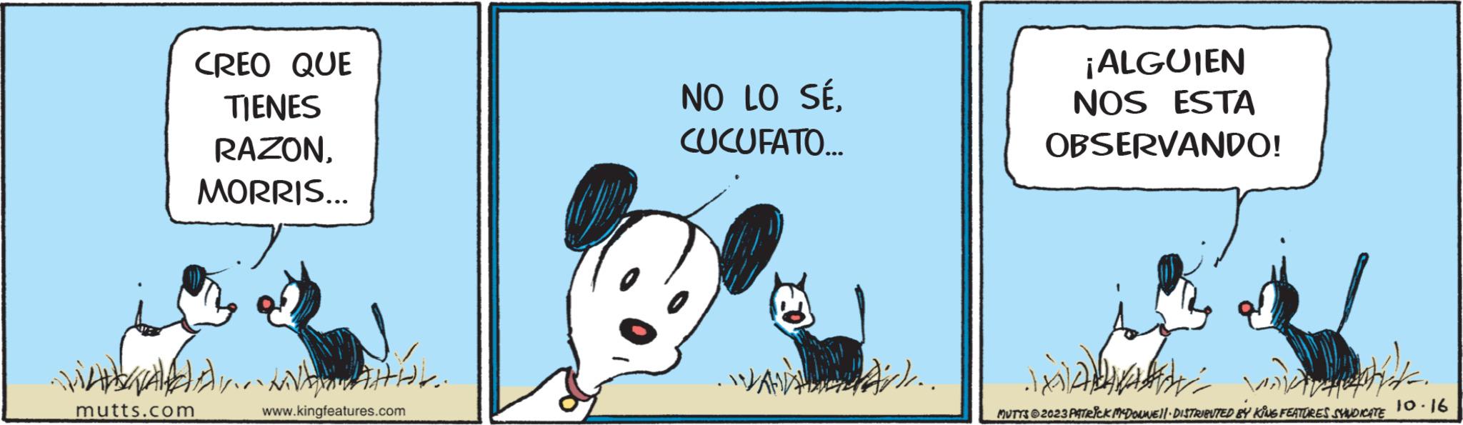 Rectangle OCR: CREO QUE TIENES RAZONMORRIS... WALA NA.. mutts.com www.kingfeatures.com NO LO SÉCUCUFATO... Ar.. ¡ALGUIEN NOS ESTA OBSERVANDO! Ara mam wh MUTTS2023 PATRICK MCDOUNE!!· DISTRIBUTED BY KING FEATURES SYNDICATE 10-16 CREO QUE TIENES RAZONMORRIS ... WALA NA .. mutts.com www.kingfeatures.com NO LO SÉCUCUFATO ... Ar .. ¡ ALGUIEN NOS ESTA OBSERVANDO ! Ara mam wh MUTTS2023 PATRICK MCDOUNE !! · DISTRIBUTED BY KING FEATURES SYNDICATE 10-16