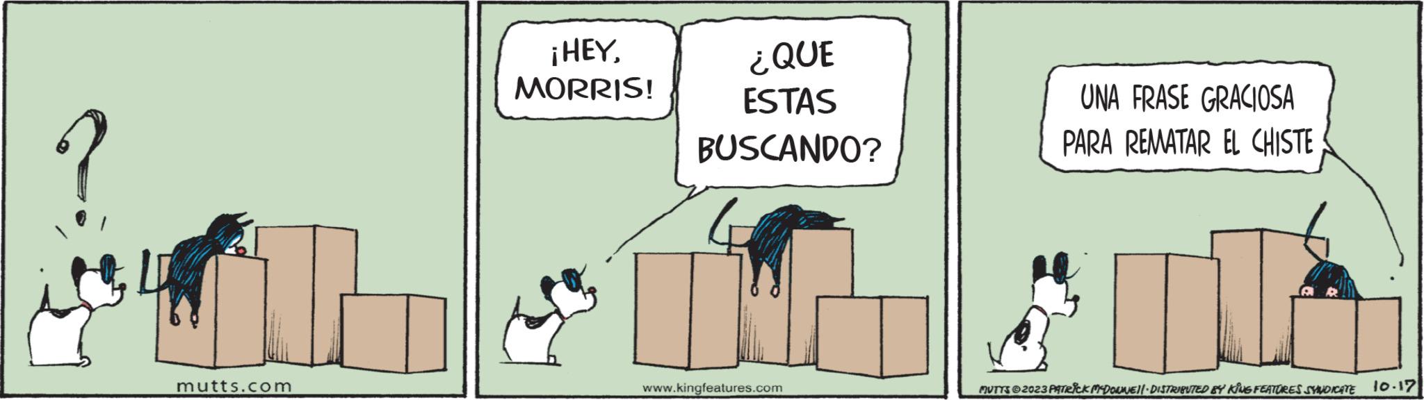 Illustration OCR: mutts.com ¡HEYMORRIS! ¿QUE ESTAS BUSCANDO? www.kingfeatures.com UNA FRASE GRACIOSA PARA REMATAR EL CHISTE MUTTS?2023 PATRICK MCDOWE||· DISTRIBUTED BY KING FEATURES SYNDICATE 10.17 mutts.com ¡ HEYMORRIS ! ¿ QUE ESTAS BUSCANDO ? www.kingfeatures.com UNA FRASE GRACIOSA PARA REMATAR EL CHISTE MUTTS?2023 PATRICK MCDOWE || · DISTRIBUTED BY KING FEATURES SYNDICATE 10.17