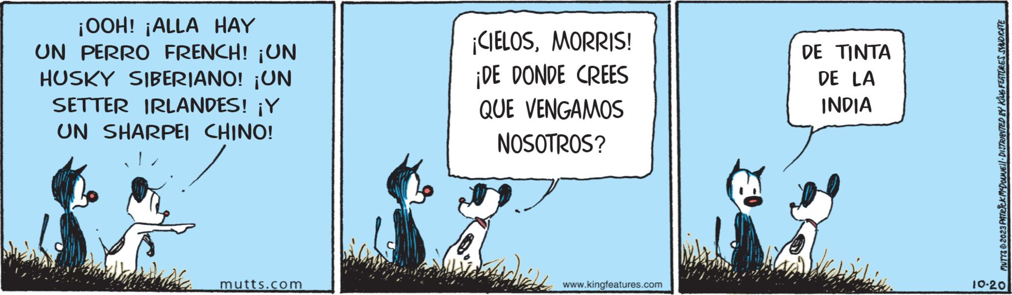 Photo caption OCR: ¡OOH! ¡ALLA HAY UN PERRO FRENCH! ¡UN HUSKY SIBERIANO! ¡UN SETTER IRLANDES! ¡Y UN SHARPEI CHINO! mutts.com ¡CIELOSMORRIS! ¡DE DONDE CREES QUE VENGAMOS NOSOTROS? Model www.kingfeatures.com DE TINTA DE LA INDIA FOR SALE BY A 10-20 ¡ OOH ! ¡ ALLA HAY UN PERRO FRENCH ! ¡ UN HUSKY SIBERIANO ! ¡ UN SETTER IRLANDES ! ¡ Y UN SHARPEI CHINO ! mutts.com ¡ CIELOSMORRIS ! ¡ DE DONDE CREES QUE VENGAMOS NOSOTROS ? Model www.kingfeatures.com DE TINTA DE LA INDIA FOR SALE BY A 10-20