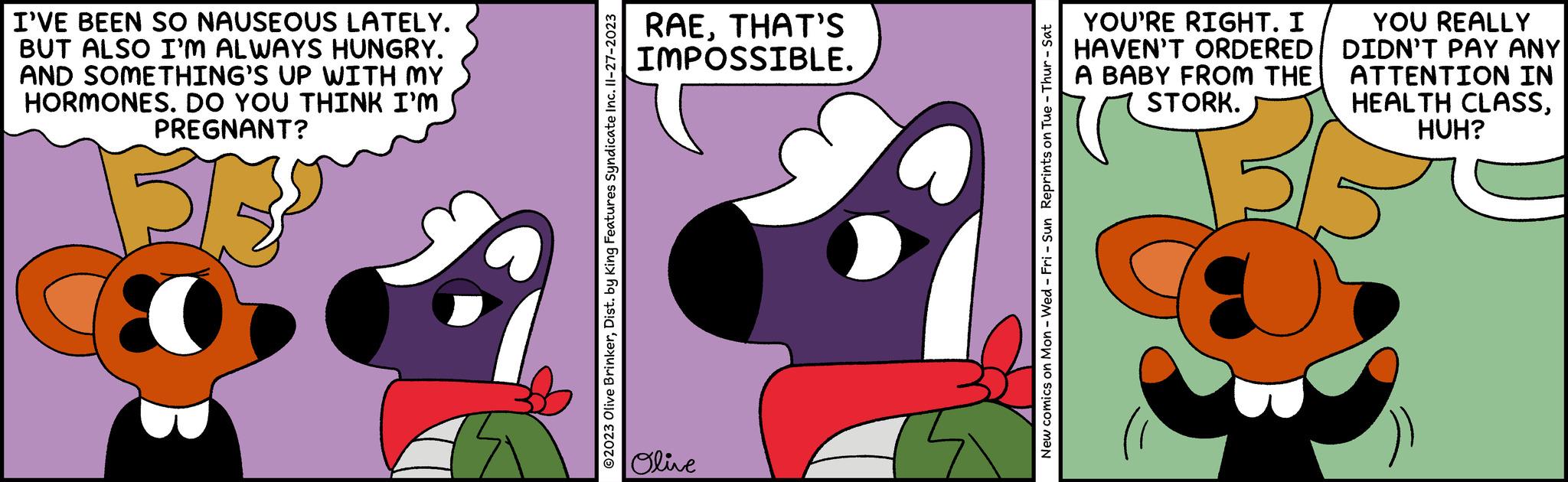 Design OCR: I'VE BEEN SO NAUSEOUS LATELY. BUT ALSO I'M ALWAYS HUNGRY. AND SOMETHING'S UP WITH MY HORMONES. DO YOU THINK I'M PREGNANT? ?2023 Olive BrinkerDist. by King Features Syndicate Inc. Il-27-2023 RAETHAT'S IMPOSSIBLE. Olive 199 New comics on Mon - Wed - Fri - Sun Reprints on Tue - Thur - Sat YOU'RE RIGHT. I HAVEN'T ORDERED A BABY FROM THE STORK. YOU REALLY DIDN'T PAY ANY ATTENTION IN HEALTH CLASSHUH? I'VE BEEN SO NAUSEOUS LATELY . BUT ALSO I'M ALWAYS HUNGRY . AND SOMETHING'S UP WITH MY HORMONES . DO YOU THINK I'M PREGNANT ? ?2023 Olive BrinkerDist . by King Features Syndicate Inc. Il - 27-2023 RAETHAT'S IMPOSSIBLE . Olive 199 New comics on Mon - Wed - Fri - Sun Reprints on Tue - Thur - Sat YOU'RE RIGHT . I HAVEN'T ORDERED A BABY FROM THE STORK . YOU REALLY DIDN'T PAY ANY ATTENTION IN HEALTH CLASSHUH ?
