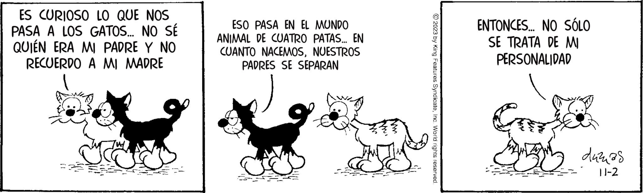 Line OCR: ES CURIOSO LO QUE NOS PASA A LOS GATOS... NO SÉ QUIÉN ERA MI PADRE Y NO RECUERDO A MI MADRE ESO PASA EN EL MUNDO ANIMAL DE CUATRO PATAS... EN CUANTO NACEMOSNUESTROS PADRES SE SEPARAN © 2023 by King Features SyndicateInc. World rights reserved ENTONCES... NO SÓLO SE TRATA DE MI PERSONALIDAD A duzuas 11-2 ES CURIOSO LO QUE NOS PASA A LOS GATOS ... NO SÉ QUIÉN ERA MI PADRE Y NO RECUERDO A MI MADRE ESO PASA EN EL MUNDO ANIMAL DE CUATRO PATAS ... EN CUANTO NACEMOSNUESTROS PADRES SE SEPARAN © 2023 by King Features SyndicateInc. World rights reserved ENTONCES ... NO SÓLO SE TRATA DE MI PERSONALIDAD A duzuas 11-2