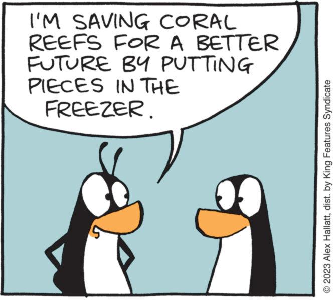 Interaction OCR: I'M SAVING CORAL REEFS FOR A BETTER FUTURE BY PUTTING PIECES IN THE FREEZER. 5 2023 Alex Hallattdist. by King Features Syndicate I'M SAVING CORAL REEFS FOR A BETTER FUTURE BY PUTTING PIECES IN THE FREEZER . 5 2023 Alex Hallattdist . by King Features Syndicate
