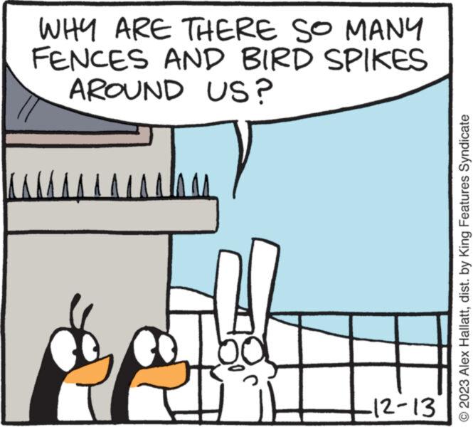 Art OCR: WHY ARE THERE SO MANY FENCES AND BIRD SPIKES AROUND US? ( 12-13 2023 Alex Hallattdist. by King Features Syndicate WHY ARE THERE SO MANY FENCES AND BIRD SPIKES AROUND US ? ( 12-13 2023 Alex Hallattdist . by King Features Syndicate