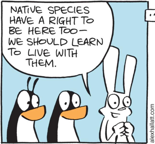 Interaction OCR: NATIVE SPECIES HAVE A RIGHT TO BE HERE TOO- WE SHOULD LEARN TO LIVE WITH THEM. ?? alexhallatt.com NATIVE SPECIES HAVE A RIGHT TO BE HERE TOO WE SHOULD LEARN TO LIVE WITH THEM . ?? alexhallatt.com