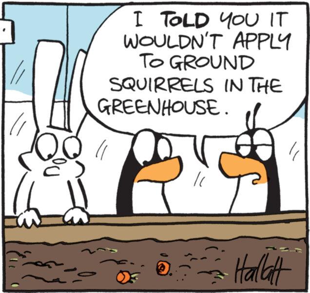 Line OCR: }. I TOLD YOU IT WOULDN'T APPLY TO GROUND SQUIRRELS IN THE GREENHOUSE. 11 U /1 Hallatt } . I TOLD YOU IT WOULDN'T APPLY TO GROUND SQUIRRELS IN THE GREENHOUSE . 11 U / 1 Hallatt