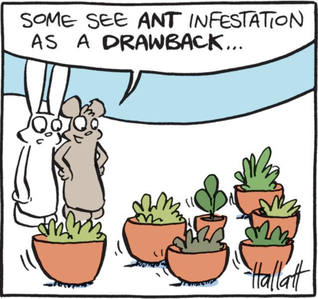 Font OCR: SOME SEE ANT INFESTATION AS A DRAWBACK... Fas mm -Hallatt SOME SEE ANT INFESTATION AS A DRAWBACK ... Fas mm -Hallatt